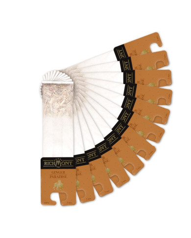 Ziołowa Herbata Richmont Ginger Paradise 12 saszetek Ziołowa Herbata Richmont Ginger Paradise 12 saszetek