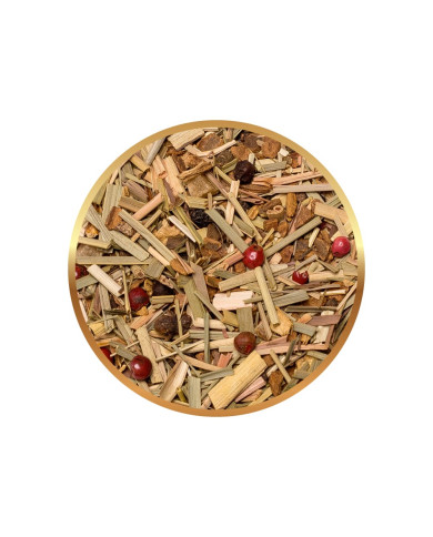 Ziołowa Herbata Richmont Ginger Paradise 12 saszetek Ziołowa Herbata Richmont Ginger Paradise 12 saszetek