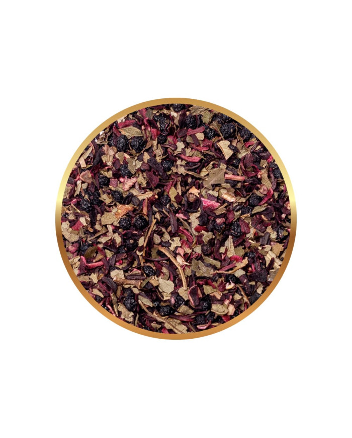 Owocowa Herbata Richmont Forest Fruits 50 saszetek