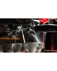 EKSPRES DO KAWY GAGGIA LA DECISA + GRATISY !