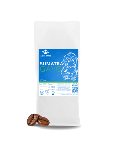 KAWA ZIARNISTA ŚWIEŻO PALONA SUMATRA GAYO 1KG KAWA ZIARNISTA ŚWIEŻO PALONA SUMATRA GAYO 1KG