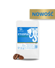 KAWA  ŚWIEŻO PALONA ZIARNISTA SALWADOR 1KG