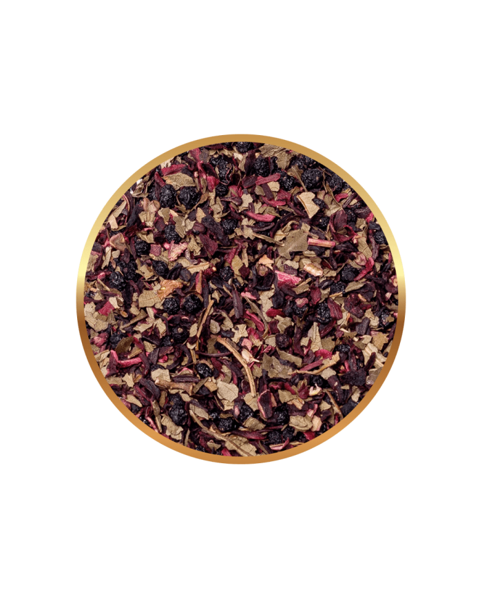 Zestaw Richmont Forest Fruits 12 Saszetek + Szklanka Richmont Hot