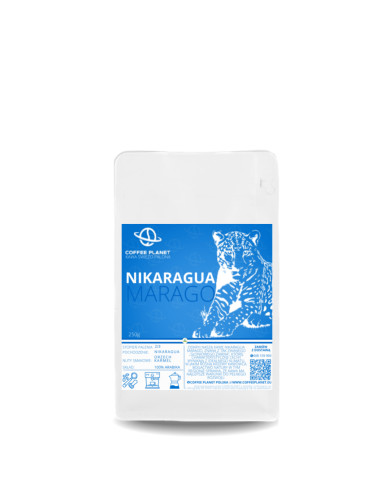 KAWA ZIARNISTA ŚWIEŻO PALONA NIKARAGUA MARAGO 250g KAWA ZIARNISTA ŚWIEŻO PALONA NIKARAGUA MARAGO 250g